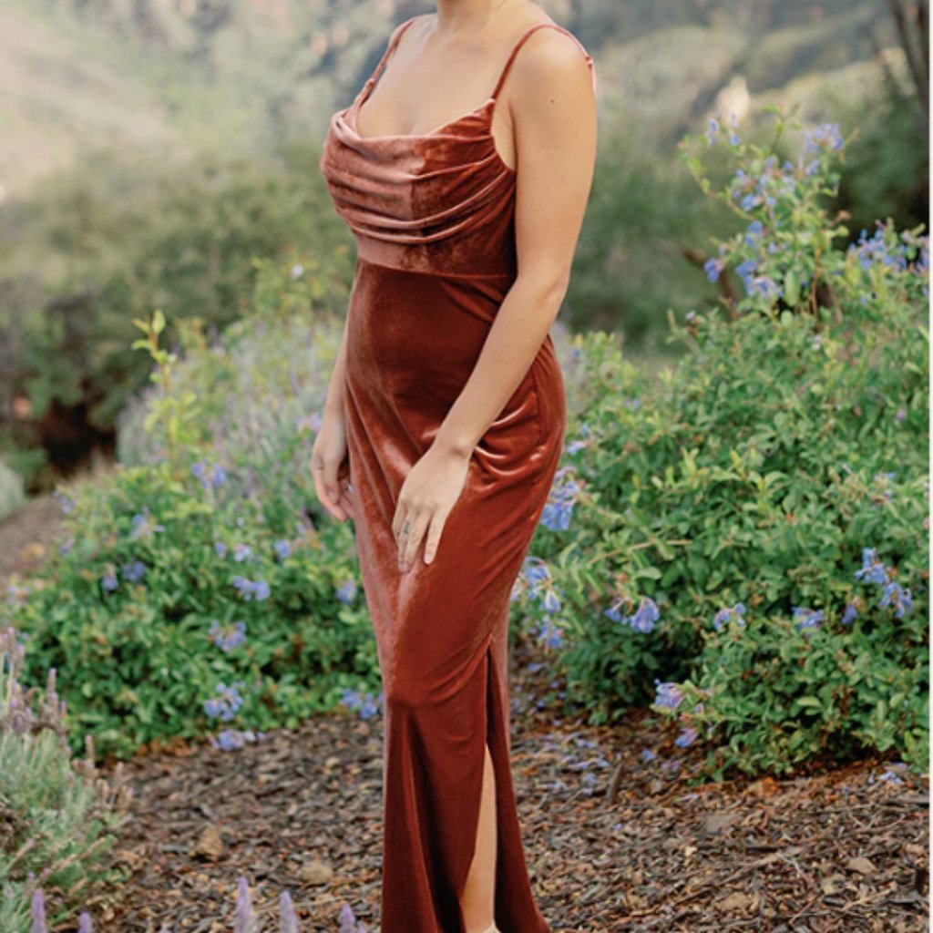 Skye Velvet Dress Dusty Rose
